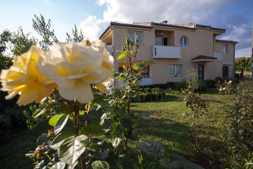 Apartments Emma Biograd Na Moru Exterior foto